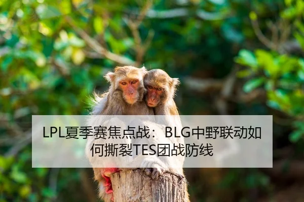 LPL夏季赛焦点战：BLG中野联动如何撕裂TES团战防线