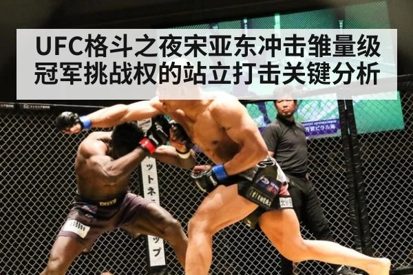 UFC格斗之夜宋亚东冲击雏量级冠军挑战权的站立打击关键分析