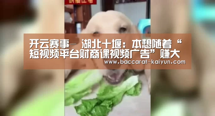开云赛事